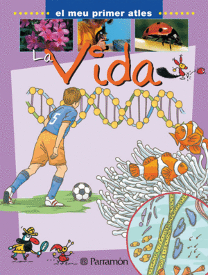 VIDA